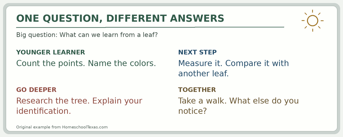 Shared leaf study whiteboard offering counting, measuring, comparing and tree identification, followed by a family walk